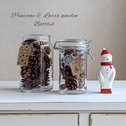 3匹のアメリカコガラ ヴィンテージ ステンドグラス 松ぼっくり 木の実 トロント 3匹のアメリカコガラ ヴィンテージ ステンドグラス 松ぼっくり 木の実