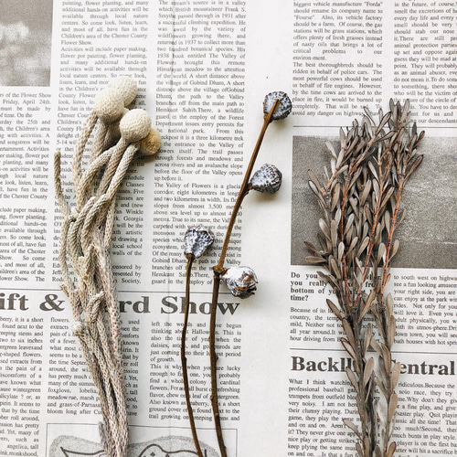 完売にて受注生産 ポポラス流木ガーランド