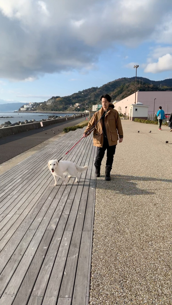 AbbeyRoad210/LL  ロングリード 復刻版オリジナルカラー 大型犬用 犬のリード 3枚目の画像