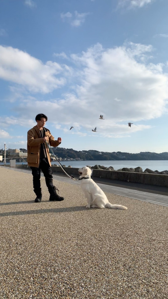 IceBerg210/LL ロングリード 氷山グラデーションカラー 大型犬用 犬のリード 2枚目の画像