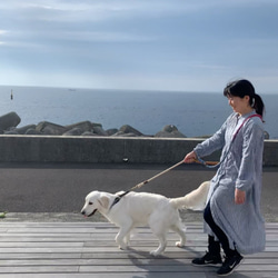 Kawasemi210/LL ロングリード 翡翠グラデーション 大型犬用/バーニーズ 等 犬のリード 3枚目の画像