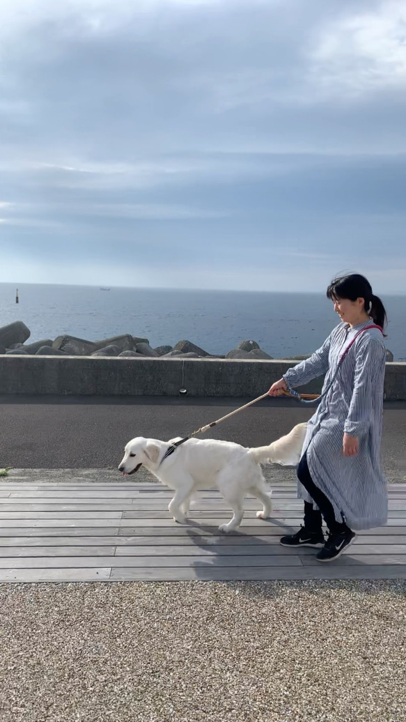 Kawasemi210/LL ロングリード 翡翠グラデーション 大型犬用/バーニーズ 等 犬のリード 3枚目の画像