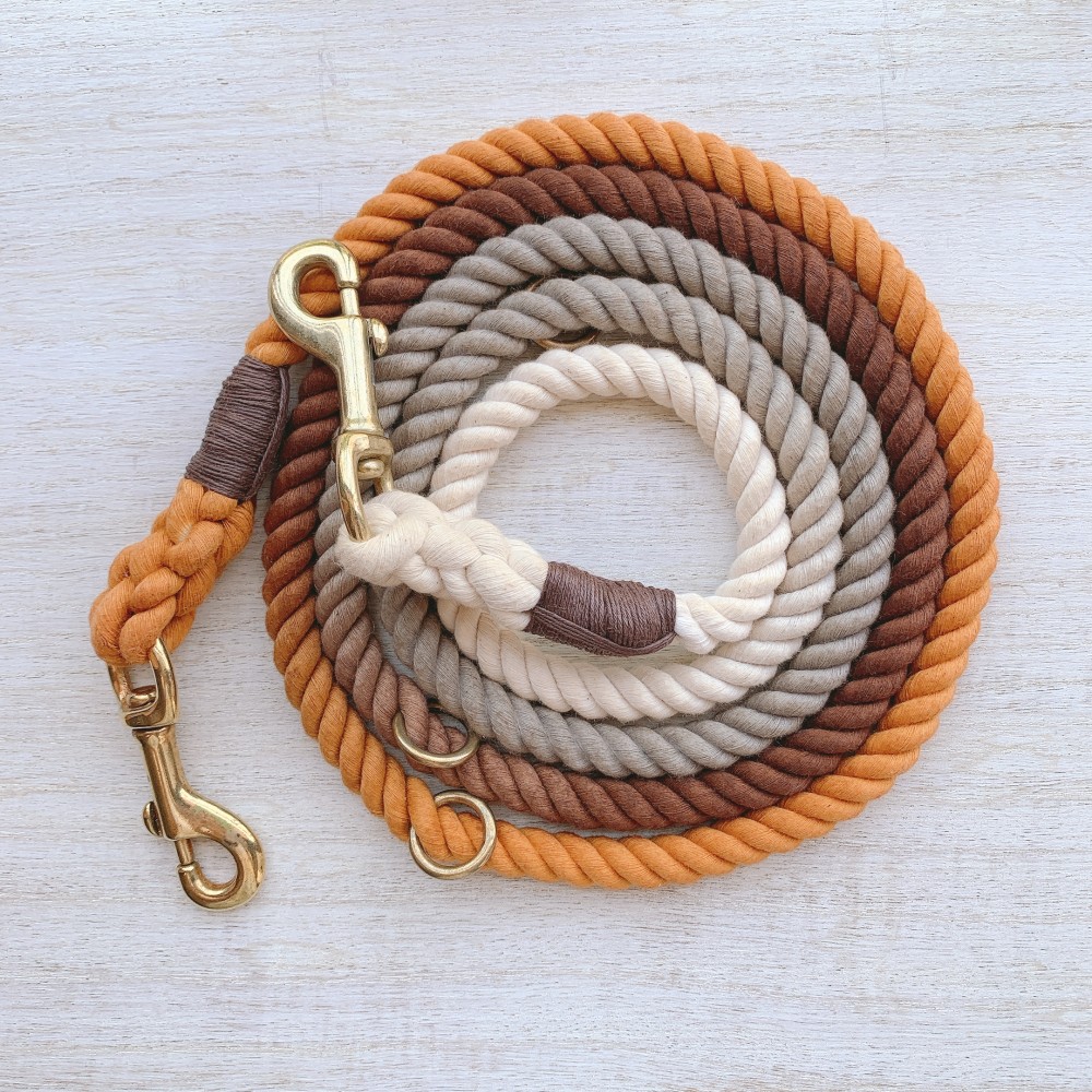 PennyLane210/LL 田舎町の床屋さんをイメージしたグラデーションカラー 大型犬用/バーニーズ 等 犬のリード