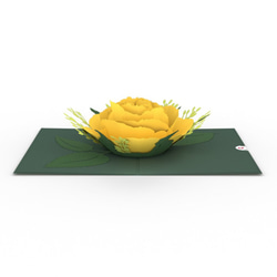 ポップアップグリーティングカード　Yellow Rose Bloom 2枚目の画像