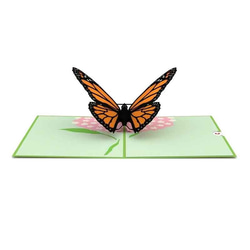 ポップアップグリーティングカード　Butterfly 4枚目の画像