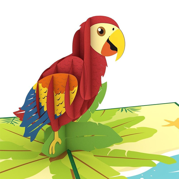 ポップアップグリーティングカード　Parrot 1枚目の画像
