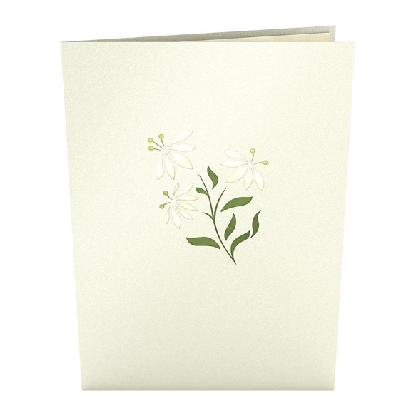 ポップアップグリーティングカード　White Flower Basket 3枚目の画像