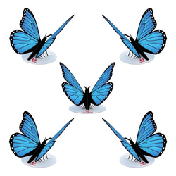 ステッカー Blue Morpho Butterfly (5パック) 2枚目の画像