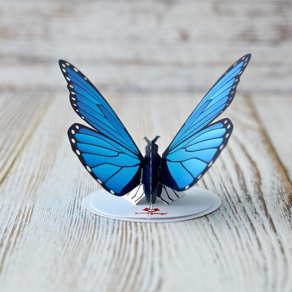 ステッカー Blue Morpho Butterfly (5パック) 6枚目の画像