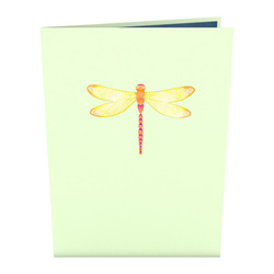 ポップアップグリーティングカード　Dragonfly on Water Lily 5枚目の画像