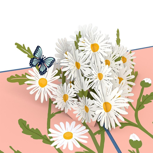 ポップアップグリーティングカード　Daisies with Blue Morpho Butterfly 2枚目の画像
