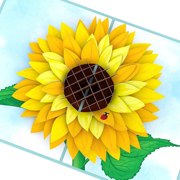 ポップアップグリーティングカード　Sunflower Bloom 3枚目の画像