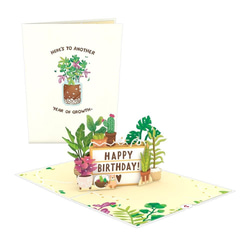 ポップアップグリーティングカード　Happy Birthday Plants 2枚目の画像