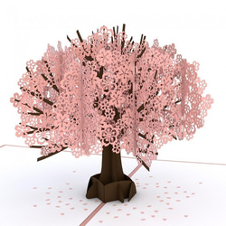 ポップアップグリーティングカード　Cherry Blossom Classic 1枚目の画像