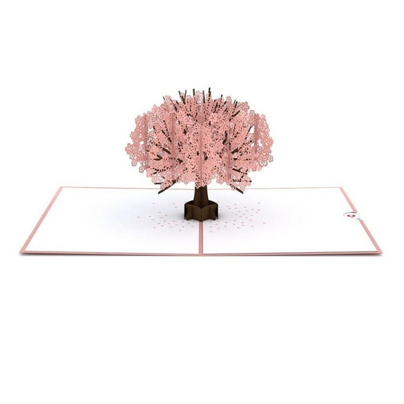 ポップアップグリーティングカード　Cherry Blossom Classic 3枚目の画像
