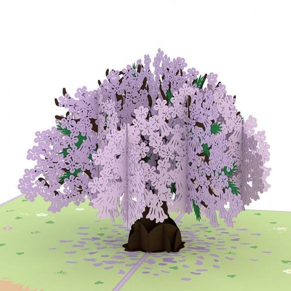 ポップアップグリーティングカード　Jacaranda Tree 3枚目の画像
