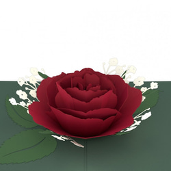 ポップアップグリーティングカード　Red Rose Bloom 3枚目の画像