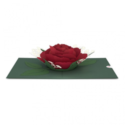 ポップアップグリーティングカード　Red Rose Bloom 6枚目の画像