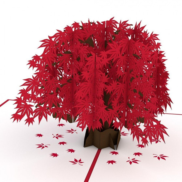 ポップアップグリーティングカード　Japanese Maple 3枚目の画像