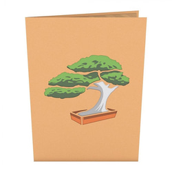 ポップアップグリーティングカード　Bonsai Tree 3枚目の画像