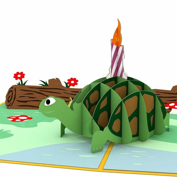 ポップアップグリーティングカード　Celebration Turtle 1枚目の画像