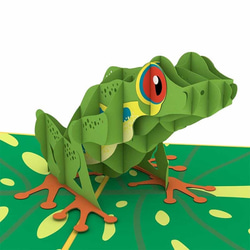 ポップアップグリーティングカード　Red-Eyed Tree Frog 1枚目の画像