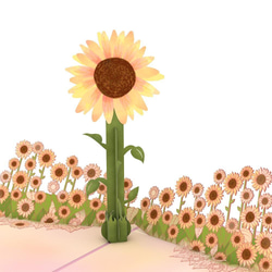ポップアップグリーティングカード　Sunflower Sunrise 1枚目の画像