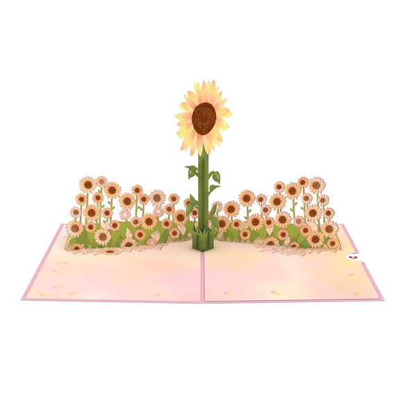ポップアップグリーティングカード　Sunflower Sunrise 2枚目の画像