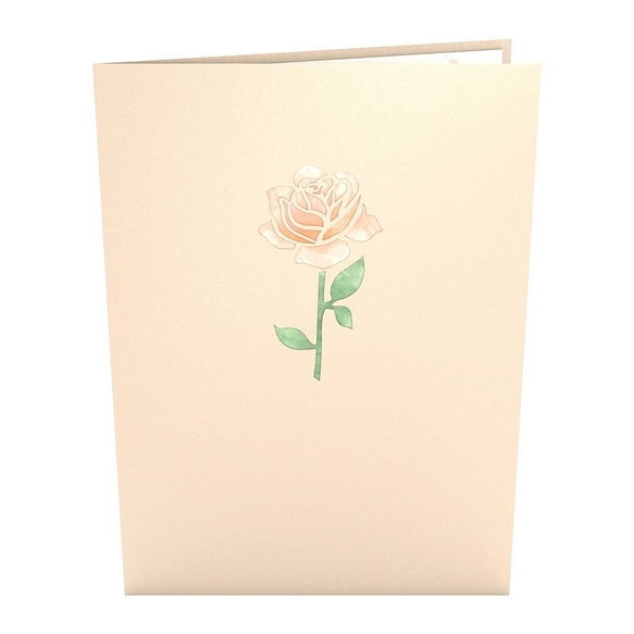 ポップアップグリーティングカード　Peach Rose Bloom 3枚目の画像