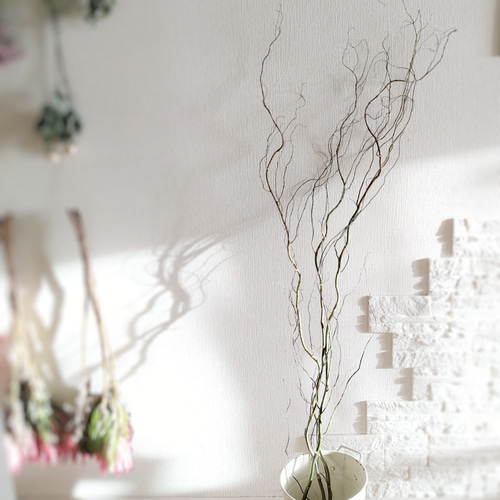 単品シリーズ〈ドライフラワー・雲竜柳〉2本 ドライフラワー 石と花