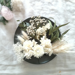 単品シリーズ《ドライフラワー・シルバーブルニア》1本のみ ドライ