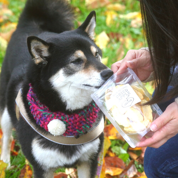 ふじりんご＊無添加ドライフルーツ　 3枚目の画像