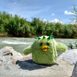 カッパちゃん(受注制作)・生地リニューアル ぬいぐるみ PUKONNU