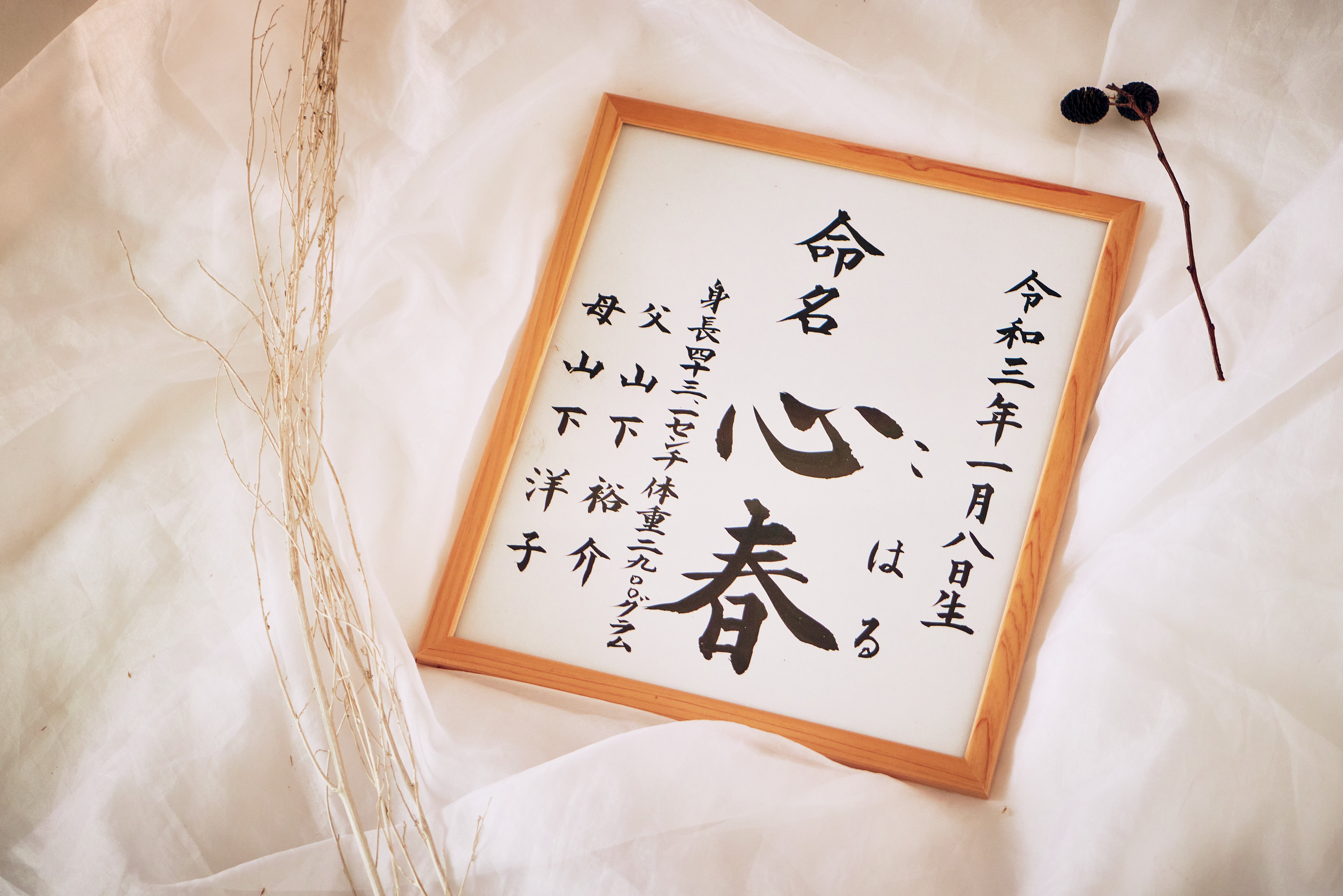 【命名書】定番の楷書体／選べる書式／色紙／額縁付き／送料無料／おまけ付き