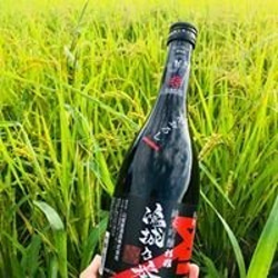 純米吟醸・鴻城乃誉・こうじょうのほまれ・日本酒・ギフト・数量限定　 2枚目の画像