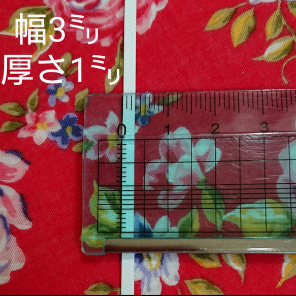  第2張的照片