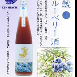 金鯱6本セット　純米吟醸仕込みの梅酒3本ブルーベリー酒3本　各500ml　計6本 4枚目の画像