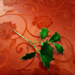 ヒイラギの枝 葉 5本セット ナチュラル クリスマス 天然 素材 2枚目の画像