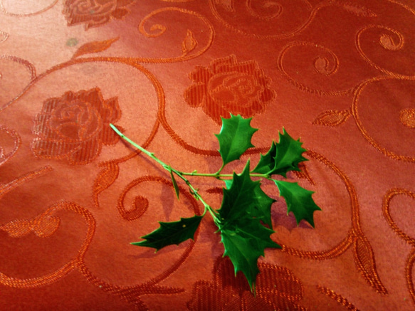 ヒイラギの枝 葉 5本セット ナチュラル クリスマス 天然 素材 2枚目の画像