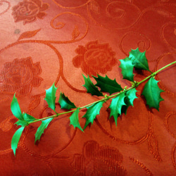 ヒイラギの枝 葉 5本セット ナチュラル クリスマス 天然 素材 3枚目の画像