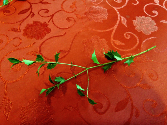 ヒイラギの枝 葉 5本セット ナチュラル クリスマス 天然 素材 4枚目の画像