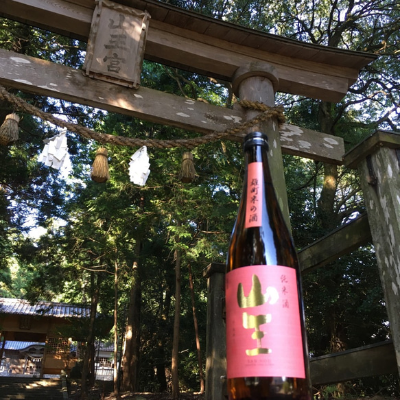 おうち飲み【武蔵の里『純米吟醸』720ml/山王『雄町米の酒』720mlセット】岡山産日本酒ギフト 3枚目の画像