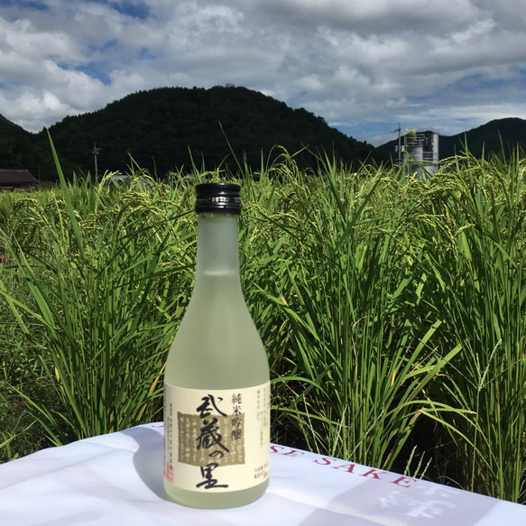 おうち飲み【武蔵の里　冷酒飲み比べセットM-77/クール便対応】日本酒ギフト 2枚目の画像