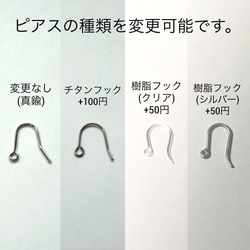 【再販】りんごのピアス　01 6枚目の画像