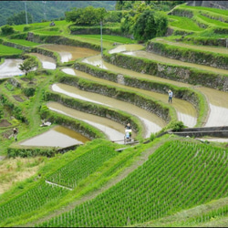 MORIKUNIギフト小豆島のお米のお酒 2枚目の画像