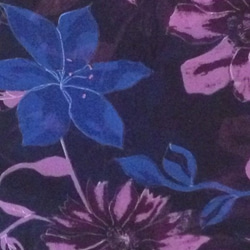 紫とブルーの花が舞う／Purple and blue flowers 5枚目の画像