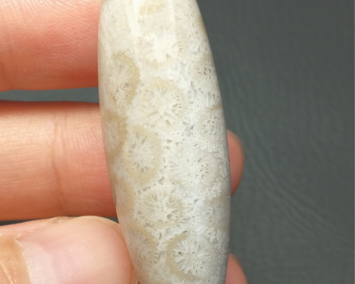 0_967915acc67eff0694141f9e4f16