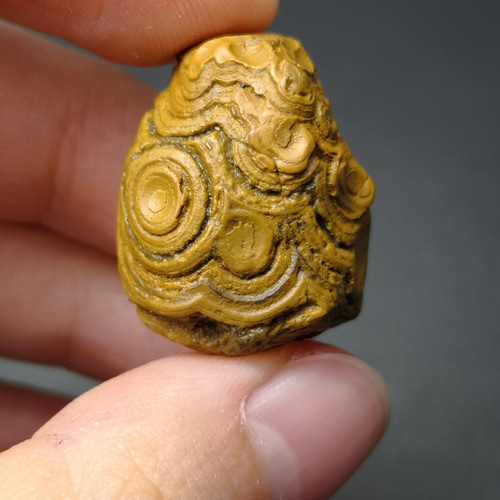 c0103 希少 九眼頁岩石原石20×25ミリ 貫通穴 天然石 kitata天然石·真珠 