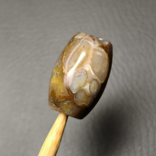 c0104 希少 法螺天珠14×21ミリ 天然貝化石模様綺麗✨ 天然石