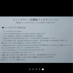 見分けがつくマスク‼️ポケットつきプリーツマスク1枚と高機能フィルターシート4枚 5枚目の画像